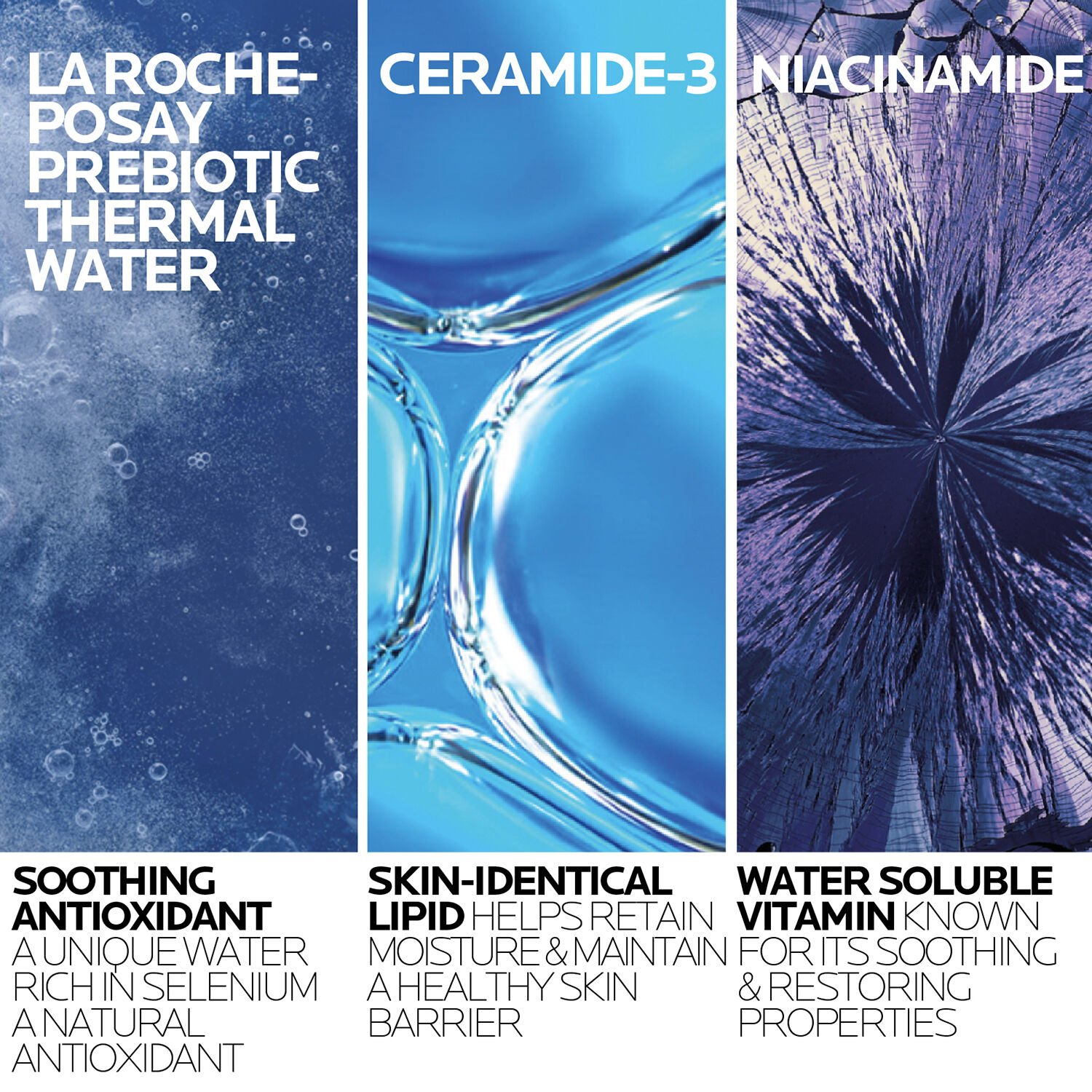 2-TolerianeCleanserUSRefill-400ml-ATF20Ingredient20Science-Rev.jpg