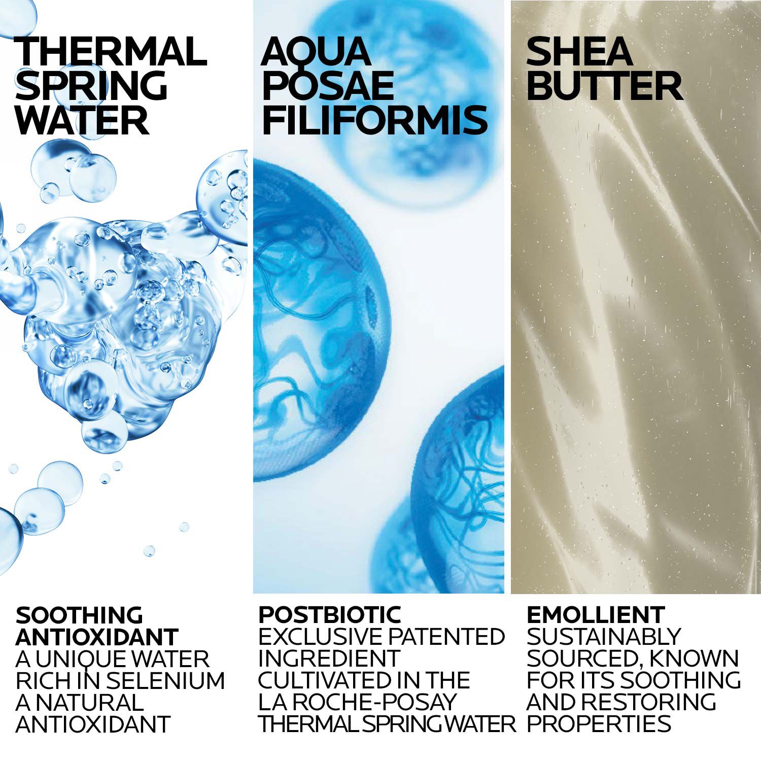 Lipikar-Wash-ingredients_1500x1500-REV.jpg
